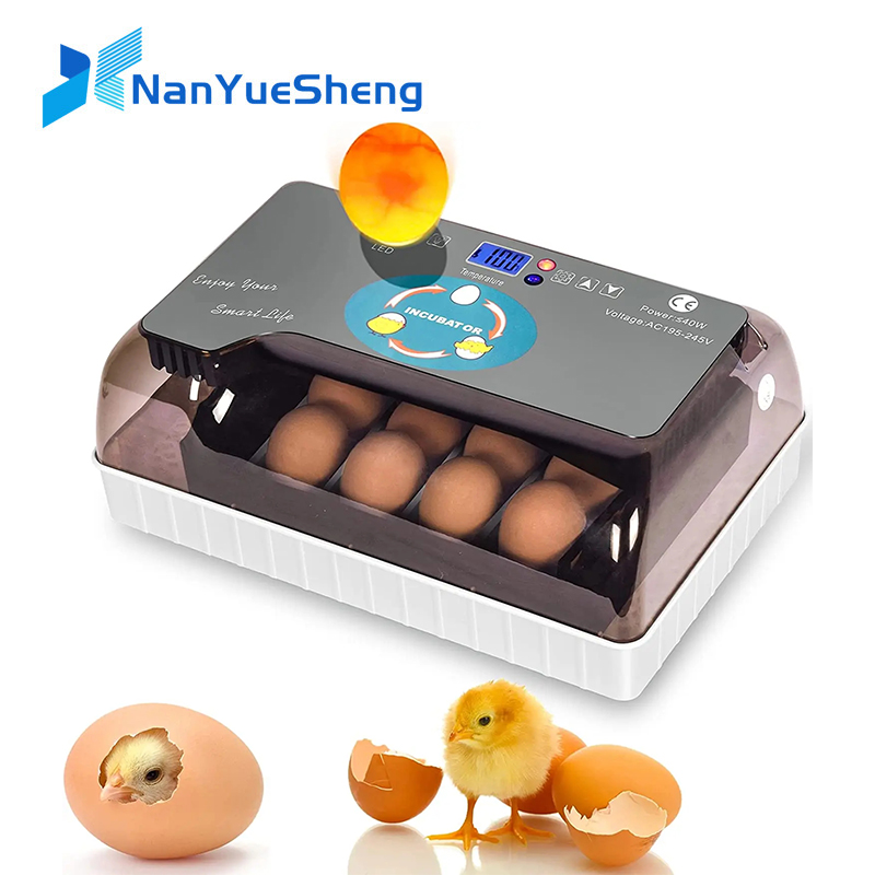Quail Egg Incubator - 自動 HHD 最高のデジタル 12 鶏卵孵化場機育雛卵インキュベーター卵インキュベーターハッチャーガチョウ鶏ウズラ