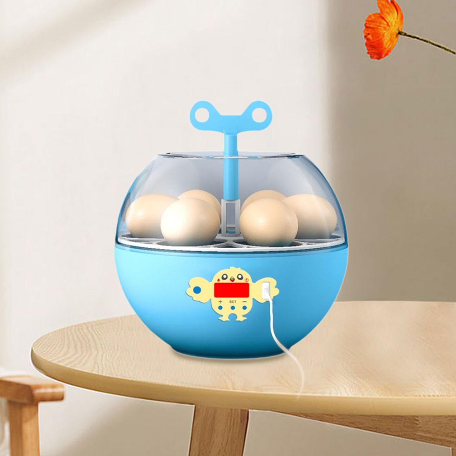 Quail Egg Incubator - 6個の卵が入るミニ可視化インキュベーター、孵化用孵卵器、鶏、ガチョウ、アヒル、ウズラの孵化用機械、養鶏場用品