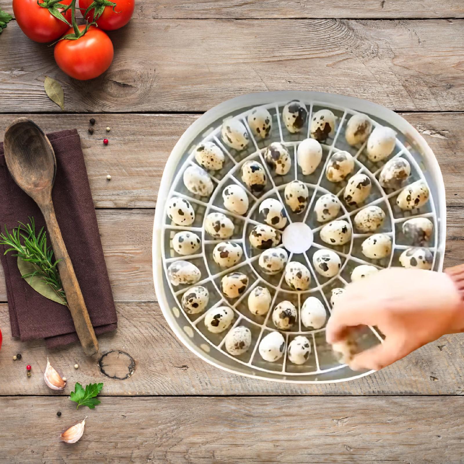 Quail Egg Incubator - 小型ウズラ鳥の卵トレイ 48個収容 簡単設置 卵回転トレイ 360度インキュベーター 家庭用