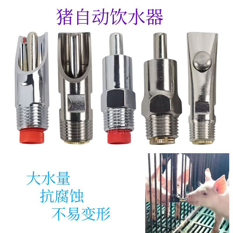 Chicken Nipple Drinker - 10個入り 高品質ステンレス製 自動豚用ニップル式給水器 子豚用