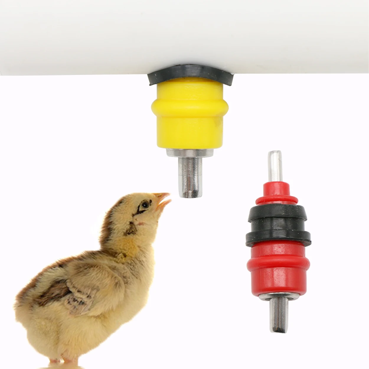 Chicken Nipple Drinker - 家禽用自動給水装置,家禽酒飲み,鳥用給水器,鶏用給水器,ウズラ,鳩,鳥,10個