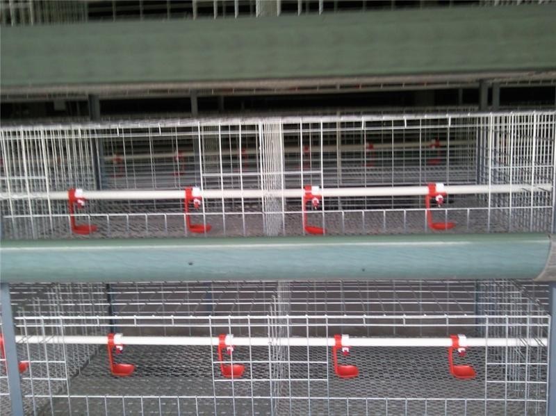 農場・農業機器 鳥かご格安販売、小型鶏小屋デザイン販売中 - Agriculture.Farming Design のレビューと価格