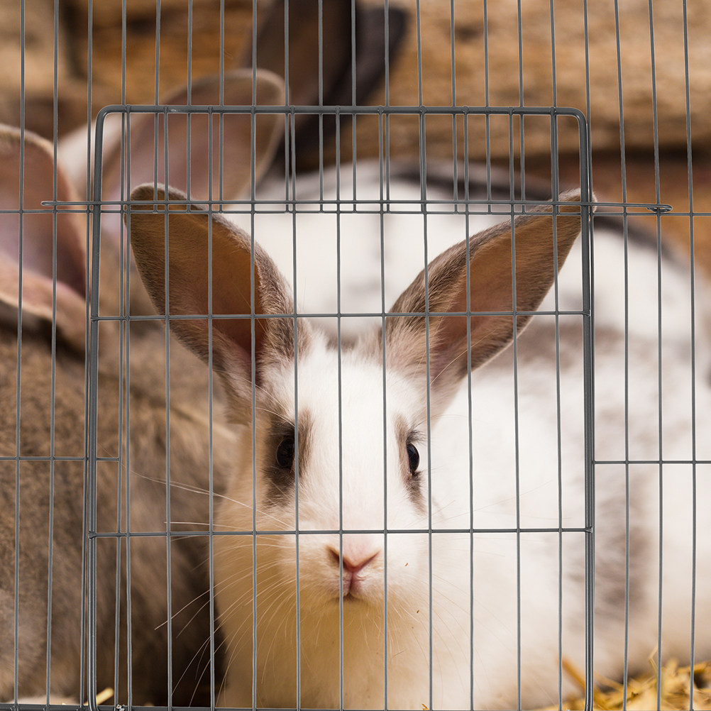 2個入り 厚手の金属製ワイヤーケージドアパネル 猫、犬、ウサ - Rabbit Cage Wire のレビューと価格