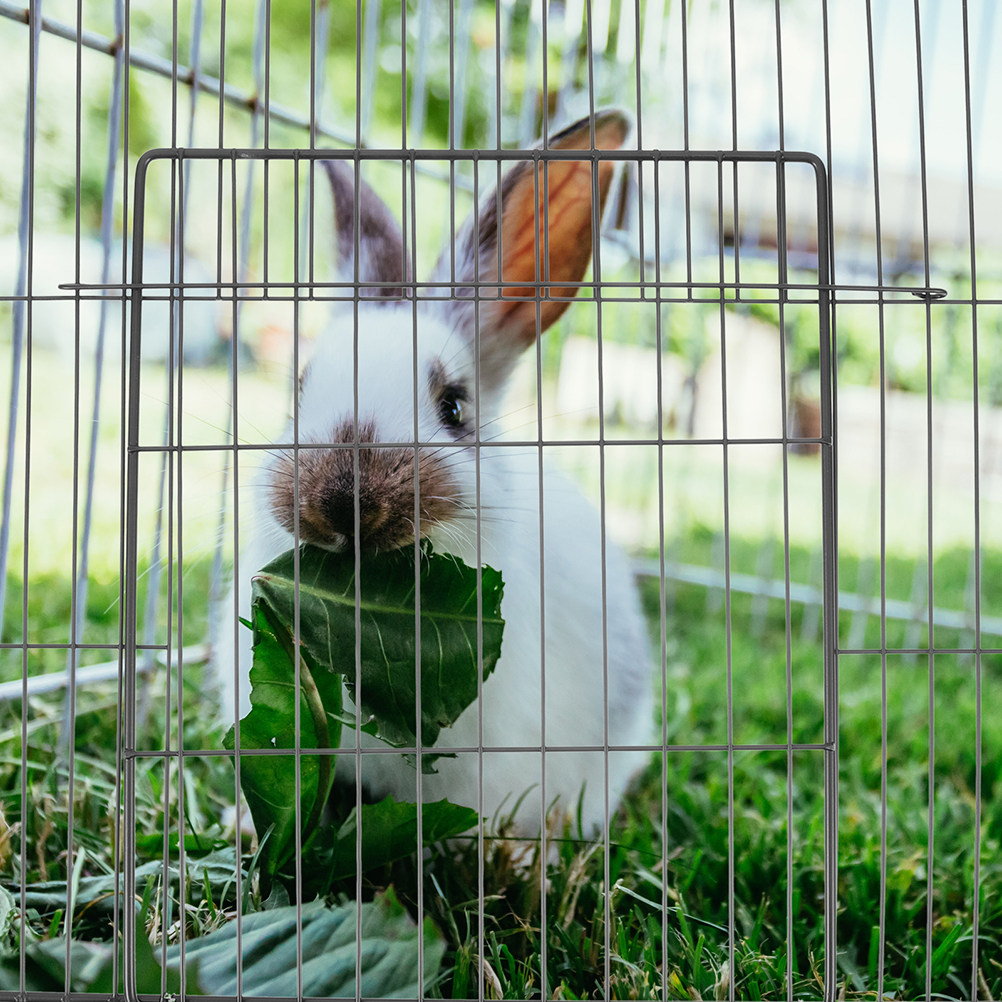 2個入り 厚手の金属製ワイヤーケージドアパネル 猫、犬、ウサ - Rabbit Cage Wire のレビューと価格