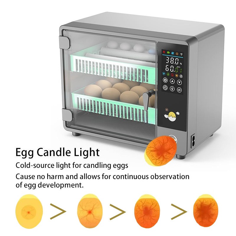工場直販 2026 全自動卵孵卵器 デジタルインテリジェント - Quail Egg Incubator のレビューと価格