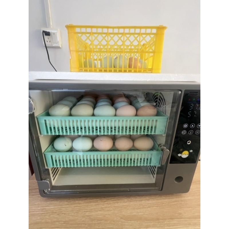 工場直販 2026 全自動卵孵卵器 デジタルインテリジェント - Quail Egg Incubator のレビューと価格
