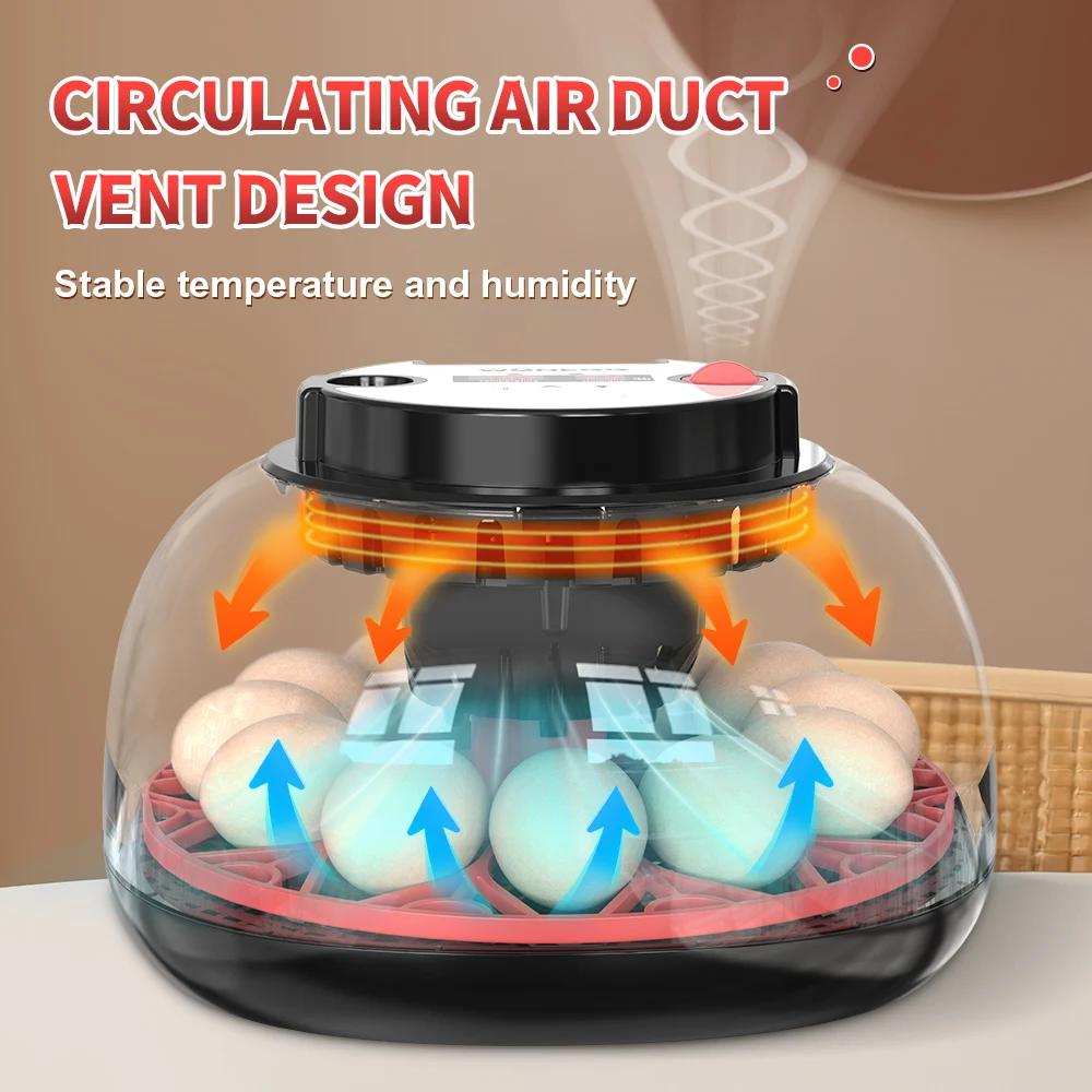 12個の卵を孵化させる自動回転式デジタル孵卵器（鶏、ウズラ、 - Quail Egg Incubator のレビューと価格