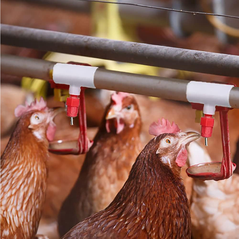鶏用水飲み器用PVCティーフィッティング、ネジ式家禽ニップル - Chicken Nipple Drinker のレビューと価格