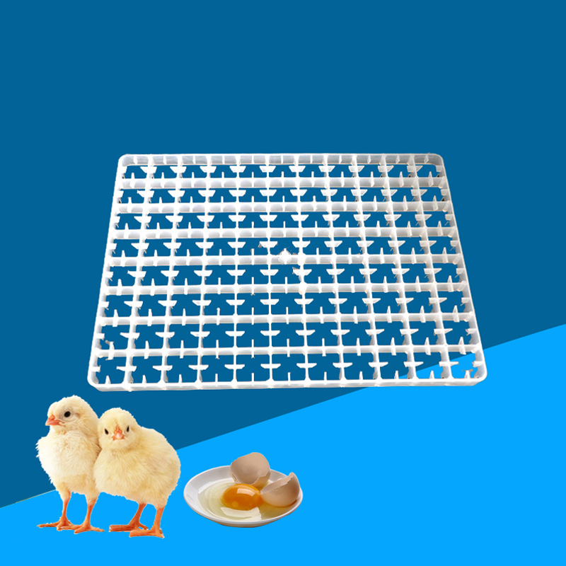 自動インキュベーター用エッグトレイ,1ピース,ダックセイルエ - Quail Egg Incubator のレビューと価格