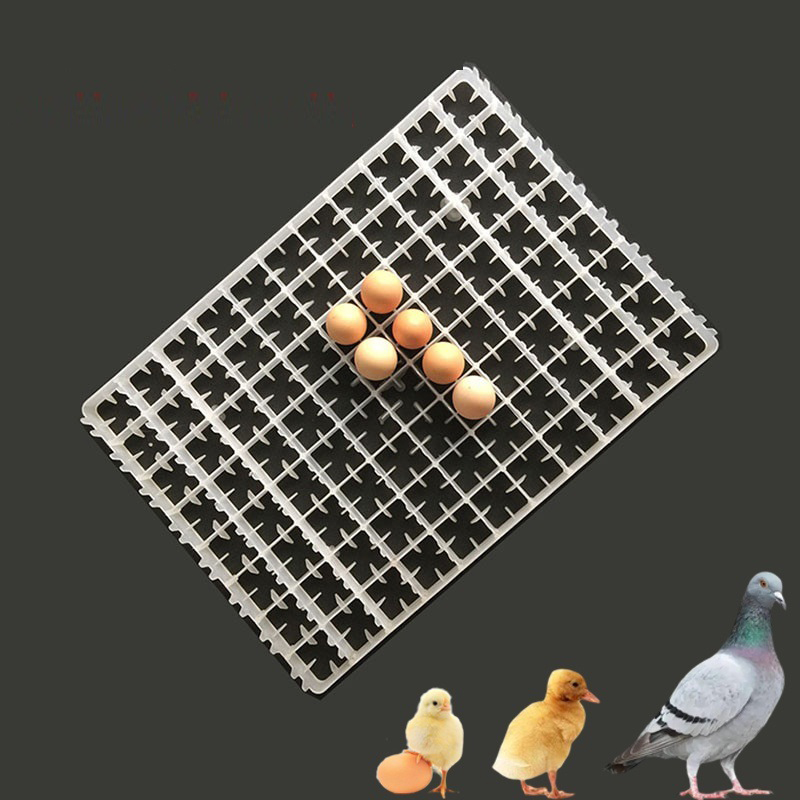 自動インキュベーター用エッグトレイ,1ピース,ダックセイルエ - Quail Egg Incubator のレビューと価格