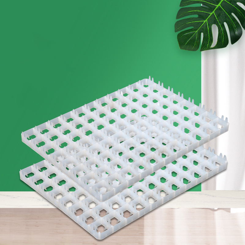 自動インキュベーター用エッグトレイ,1ピース,ダックセイルエ - Quail Egg Incubator のレビューと価格