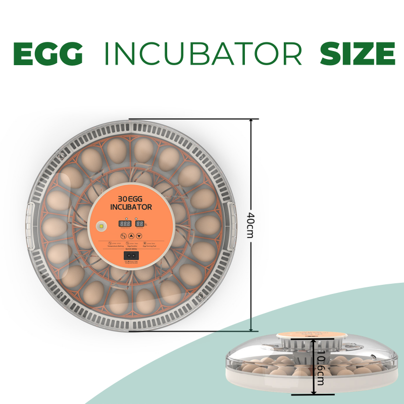 STLF30 卵 家庭用孵卵器 全自動 鶏・アヒル・ウズラ孵 - Quail Egg Incubator のレビューと価格