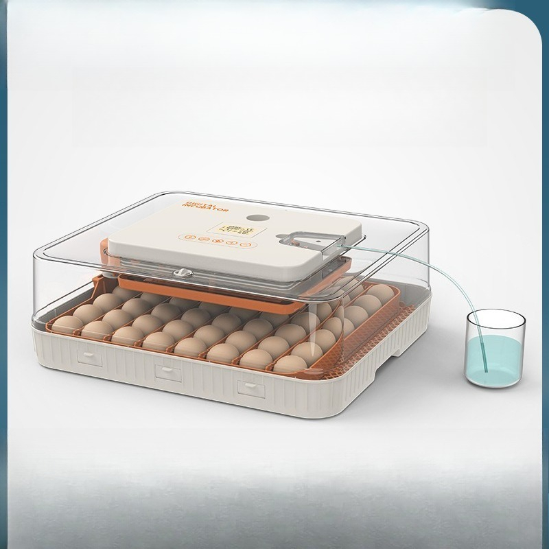 自動インテリジェント卵孵化器、小型家庭用孵卵器（鳥、オウム、 - Quail Egg Incubator のレビューと価格