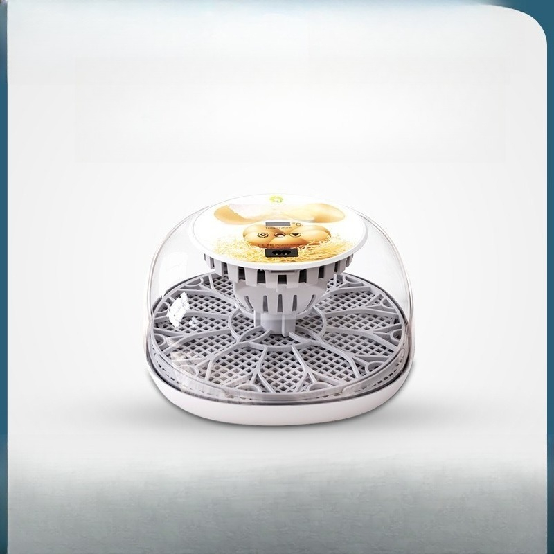 自動インテリジェント卵孵化器、小型家庭用孵卵器（鳥、オウム、 - Quail Egg Incubator のレビューと価格