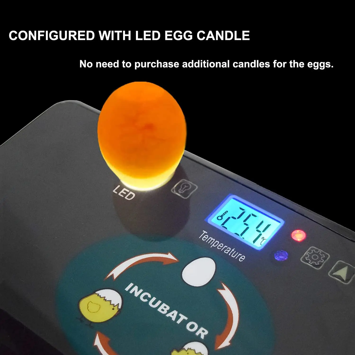 自動 HHD 最高のデジタル 12 鶏卵孵化場機育雛卵インキ - Quail Egg Incubator のレビューと価格