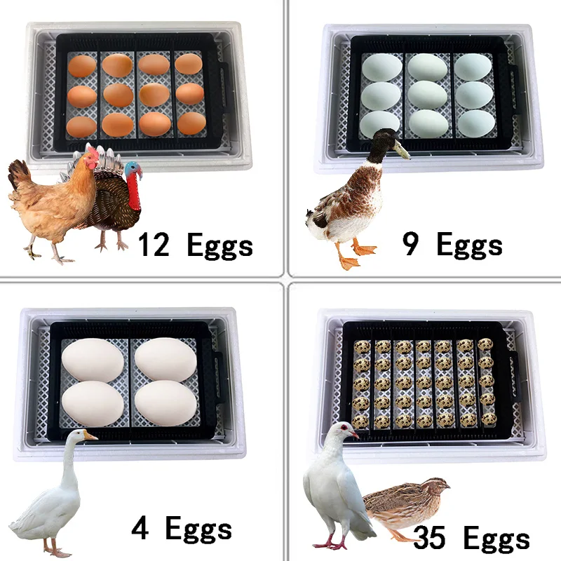 自動 HHD 最高のデジタル 12 鶏卵孵化場機育雛卵インキ - Quail Egg Incubator のレビューと価格