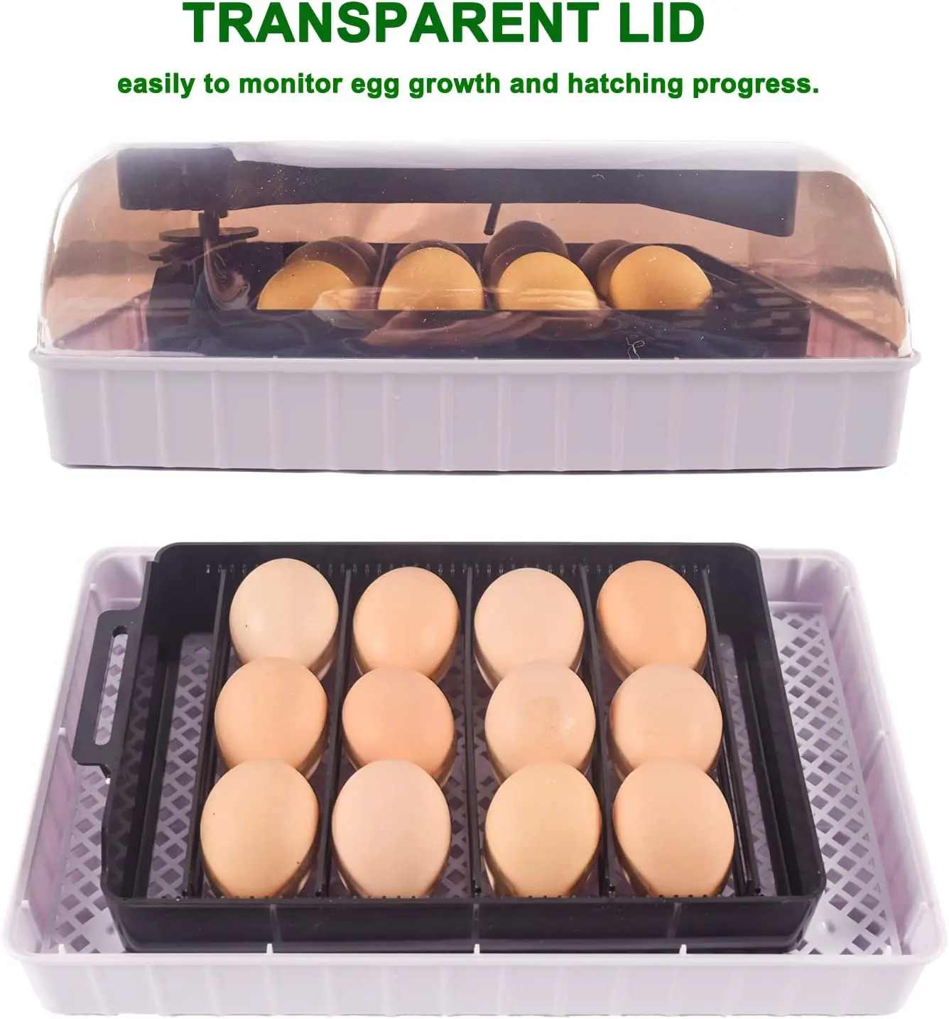 自動 HHD 最高のデジタル 12 鶏卵孵化場機育雛卵インキ - Quail Egg Incubator のレビューと価格