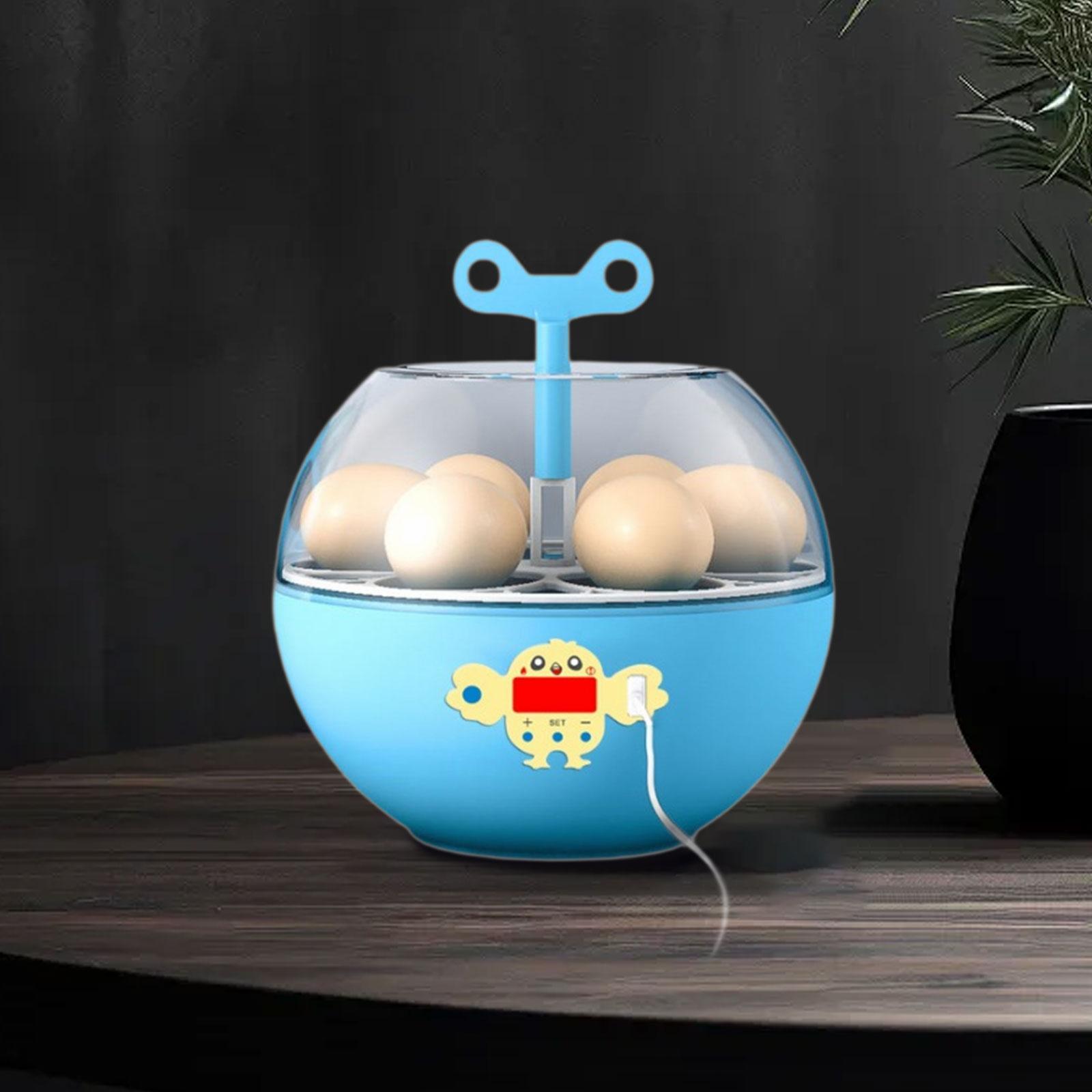 6個の卵が入るミニ可視化インキュベーター、孵化用孵卵器、鶏、 - Quail Egg Incubator のレビューと価格