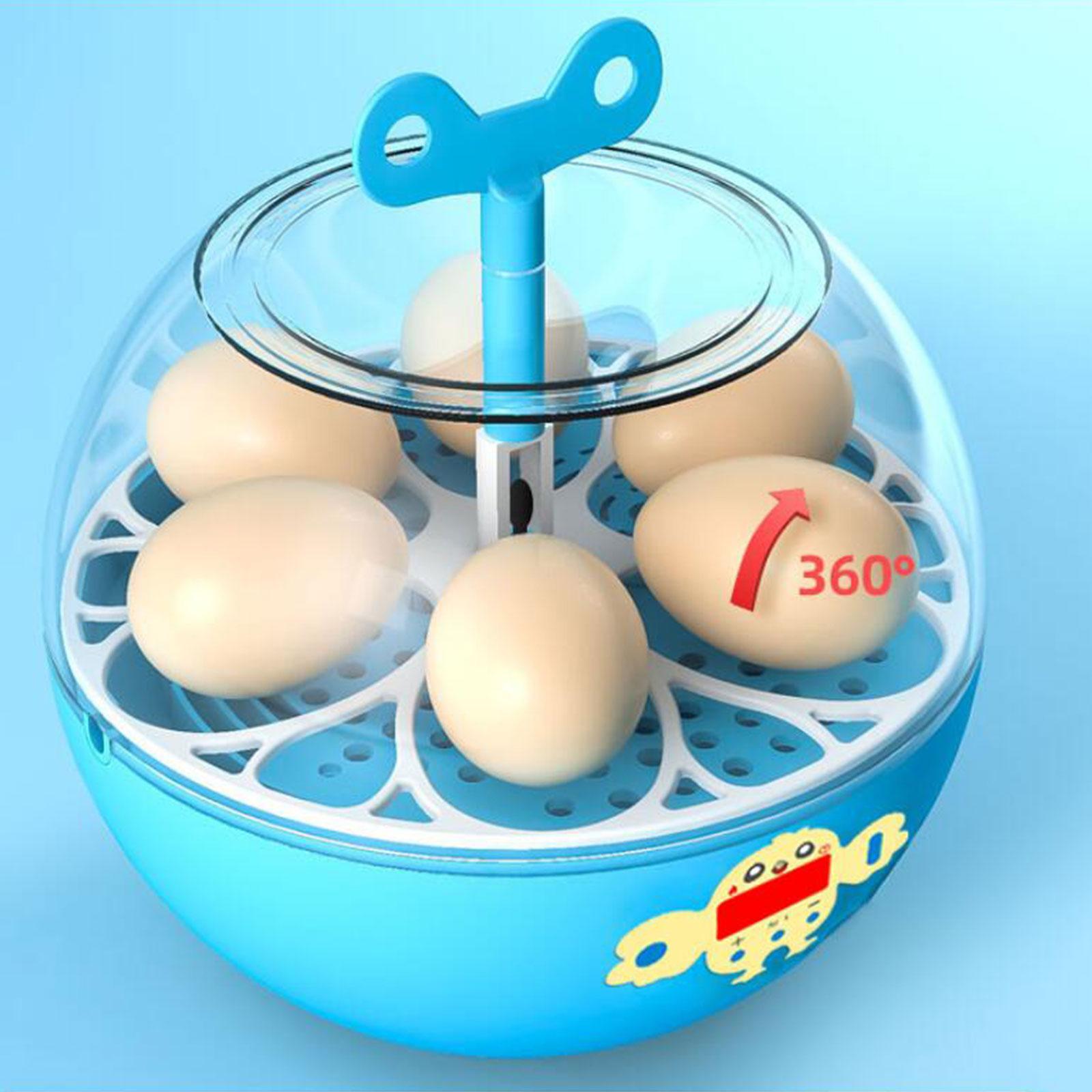 6個の卵が入るミニ可視化インキュベーター、孵化用孵卵器、鶏、 - Quail Egg Incubator のレビューと価格