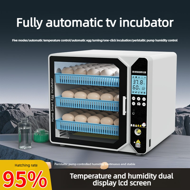 インキュベーター スマート孵卵器 小型家庭用孵卵器 鶏、アヒ - Quail Egg Incubator のレビューと価格