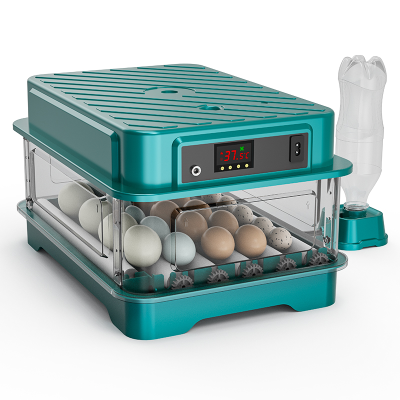 全自動鶏ウズラアヒルガチョウハト卵孵卵器 220V/110V - Quail Egg Incubator のレビューと価格