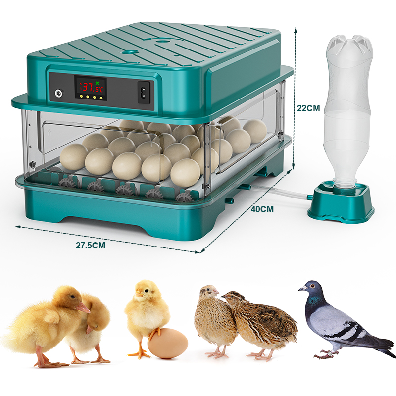 全自動鶏ウズラアヒルガチョウハト卵孵卵器 220V/110V - Quail Egg Incubator のレビューと価格