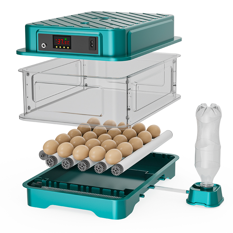 全自動鶏ウズラアヒルガチョウハト卵孵卵器 220V/110V - Quail Egg Incubator のレビューと価格