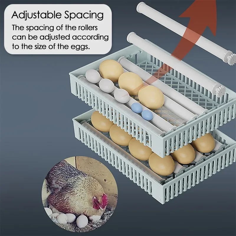 24個の卵用インキュベーター、全自動回転式孵卵器、養鶏場用孵 - Quail Egg Incubator のレビューと価格
