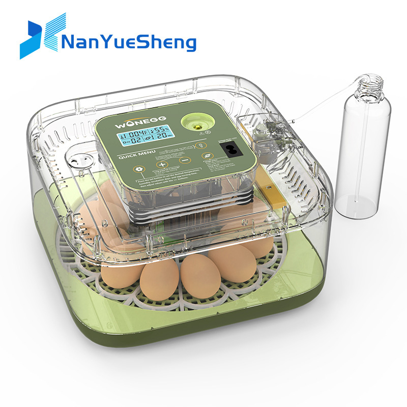 新型12個のひよこ卵孵化器、鶏、ウズラの卵用全自動孵卵器 - Quail Egg Incubator のレビューと価格