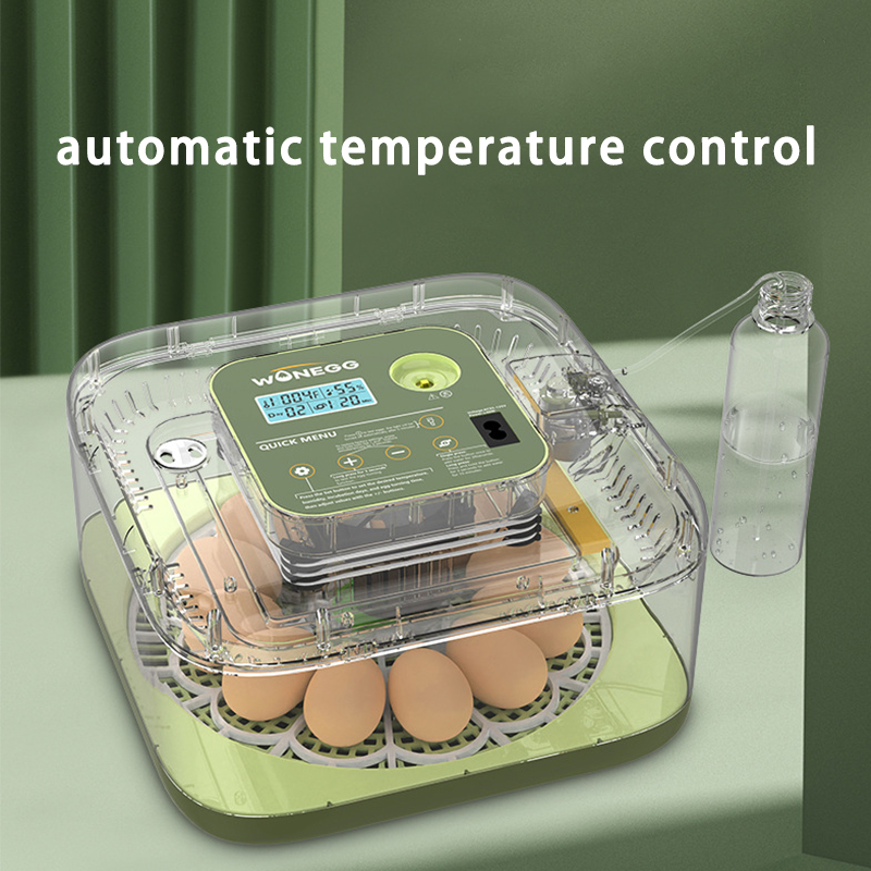 新型12個のひよこ卵孵化器、鶏、ウズラの卵用全自動孵卵器 - Quail Egg Incubator のレビューと価格