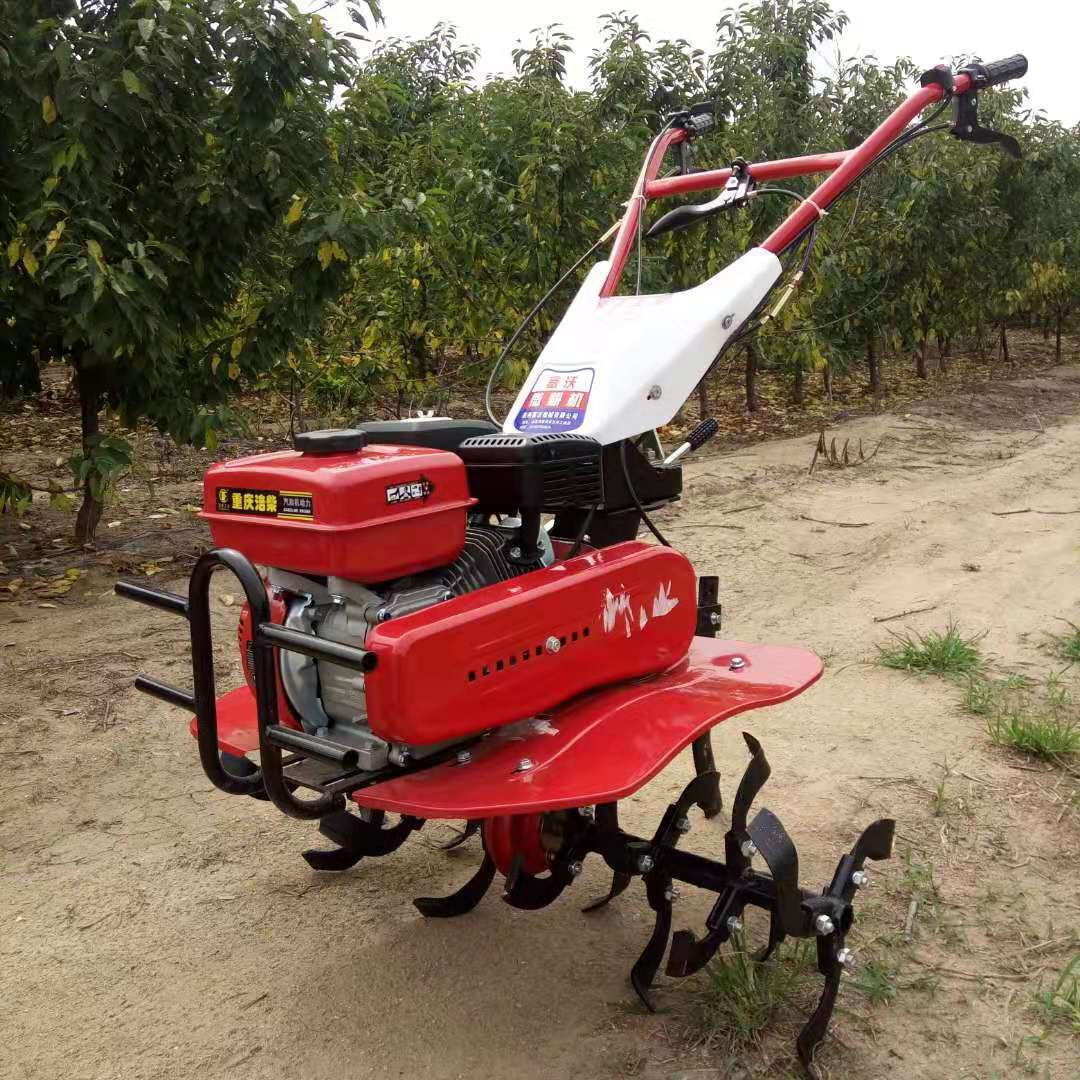 高生産性で長寿命のオールギア式マイクロ耕運機、丘陵地や果樹園 - Us Agriculture Farming Job のレビューと価格