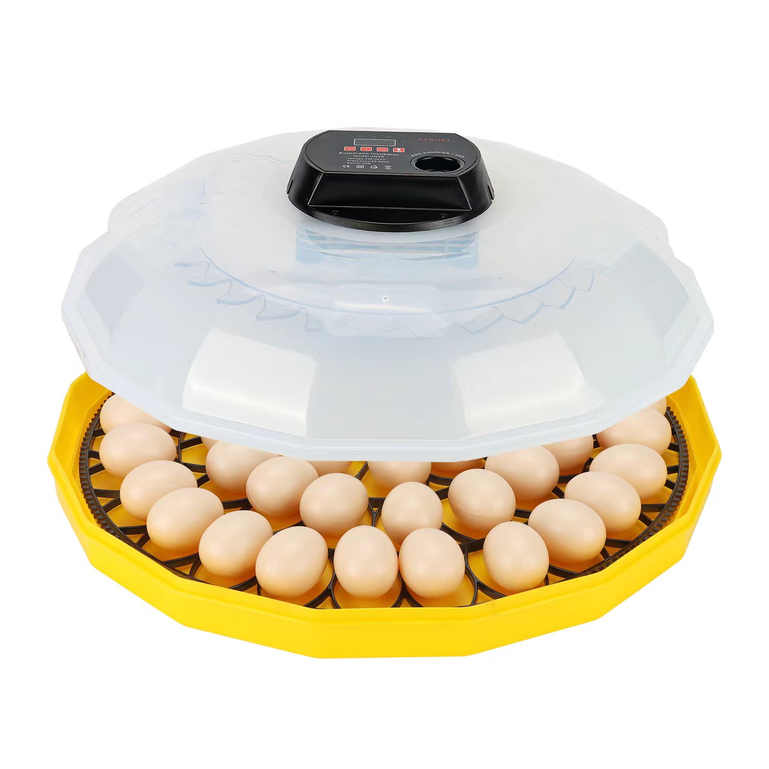 ミニ卵孵化器、鶏、アヒル、ガチョウ、鳥、ハト、ウズラ、ダチョ - Quail Egg Incubator のレビューと価格