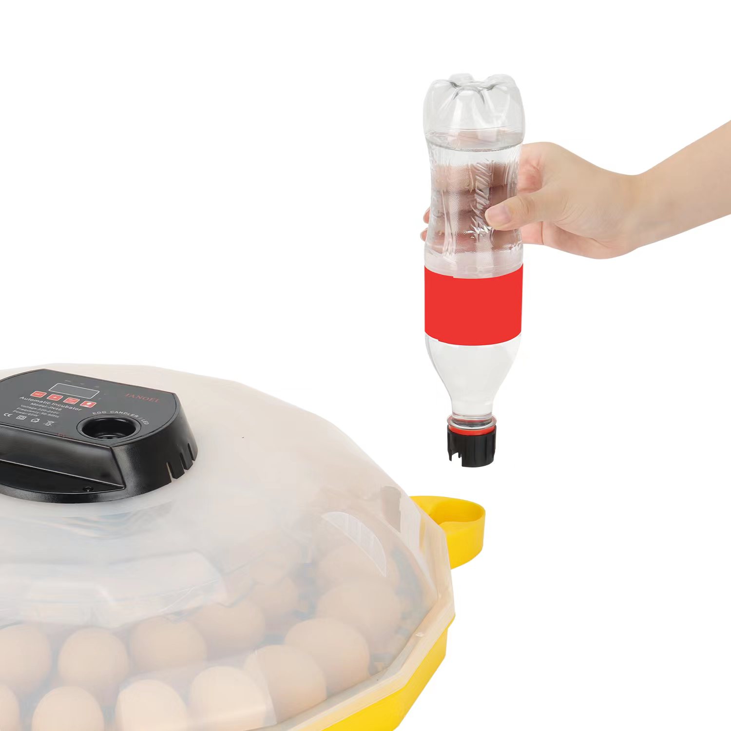 ミニ卵孵化器、鶏、アヒル、ガチョウ、鳥、ハト、ウズラ、ダチョ - Quail Egg Incubator のレビューと価格